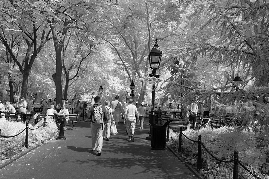 Infrared Photo of Promenaders in City Park.